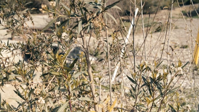 2018 Regional Conference & General Assembly