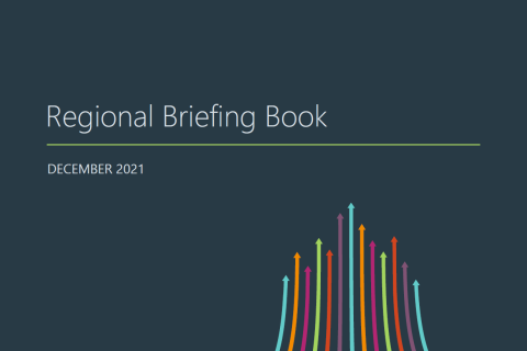 Regional Briefing Book cover with colorful rising lines.